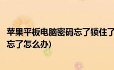 苹果平板电脑密码忘了锁住了怎么办(苹果平板电脑解锁密码忘了怎么办)