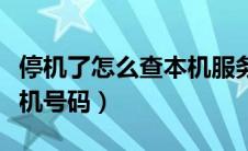 停机了怎么查本机服务密码（停机了怎么查本机号码）