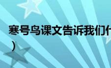 寒号鸟课文告诉我们什么道理（你可以从这看）