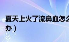 夏天上火了流鼻血怎么办（上火了流鼻血怎么办）