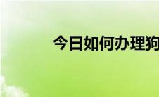 今日如何办理狗证 养犬登记证