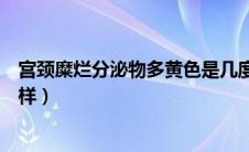 宫颈糜烂分泌物多黄色是几度（宫颈糜烂流出的分泌物什么样）