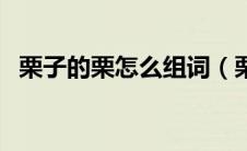 栗子的栗怎么组词（栗子的栗组词有哪些）