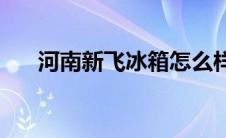 河南新飞冰箱怎么样(新飞冰箱怎么样)