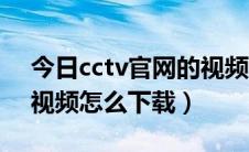 今日cctv官网的视频怎么下载（cctv央视网视频怎么下载）