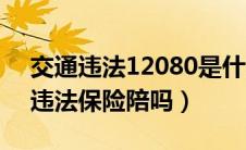 交通违法12080是什么违章怎么处罚（交通违法保险陪吗）