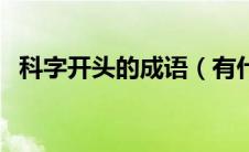 科字开头的成语（有什么科字开头的成语）