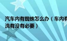 汽车内有蜘蛛怎么办（车内有蜘蛛怎么处理？汽车发动机清洗有没有必要）