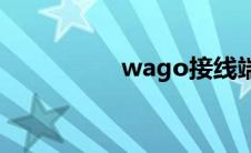 wago接线端子(wago)