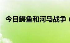 今日鳄鱼和河马战争（鳄鱼和河马谁厉害）