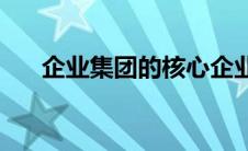 企业集团的核心企业(企业集团的定义)