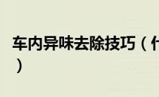 车内异味去除技巧（什么是车内异味去除技巧）