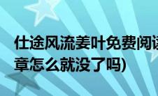 仕途风流姜叶免费阅读(姜叶风流仕途到1283章怎么就没了吗)