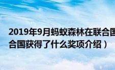 2019年9月蚂蚁森林在联合国获得了什么奖（蚂蚁森林在联合国获得了什么奖项介绍）