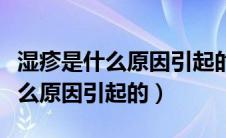 湿疹是什么原因引起的皮肤湿气重（湿疹是什么原因引起的）