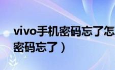 vivo手机密码忘了怎么解锁教程（vivo手机密码忘了）