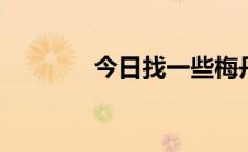 今日找一些梅丹叔叔的小说。