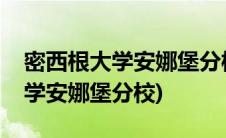 密西根大学安娜堡分校研究生专业(密西根大学安娜堡分校)