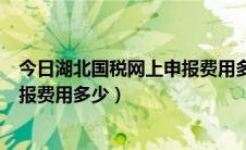 今日湖北国税网上申报费用多少钱一个月（湖北国税网上申报费用多少）