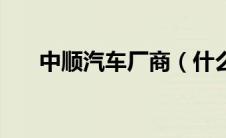 中顺汽车厂商（什么是中顺汽车厂商）