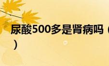 尿酸500多是肾病吗（尿酸500多是肾问题吗）