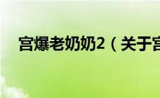 宫爆老奶奶2（关于宫爆老奶奶2的介绍）