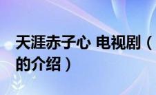 天涯赤子心 电视剧（关于天涯赤子心 电视剧的介绍）