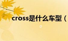 cross是什么车型（CROSS是什么车）