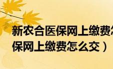 新农合医保网上缴费怎么交2023（新农合医保网上缴费怎么交）