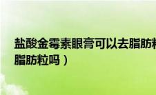 盐酸金霉素眼膏可以去脂肪粒吗?（盐酸金霉素眼膏可以去脂肪粒吗）