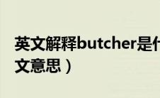 英文解释butcher是什么意思（butcher的中文意思）