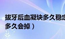 拔牙后血凝块多久稳定不会掉（拔牙后血凝块多久会掉）