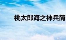 桃太郎海之神兵简介（神兵F2简介）