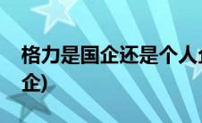 格力是国企还是个人企业(格力是国企还是私企)