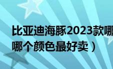 比亚迪海豚2023款哪个颜色好看（比亚迪s6哪个颜色最好卖）