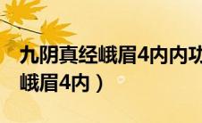 九阴真经峨眉4内内功第十页在哪（九阴真经峨眉4内）