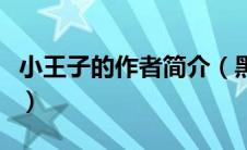 小王子的作者简介（黑道公主遇冷酷王子简介）