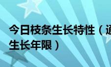 今日枝条生长特性（通过什么可以判断枝条的生长年限）