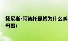 扬尼斯·阿德托昆博为什么叫字母哥(阿德托昆博为什么叫字母哥)