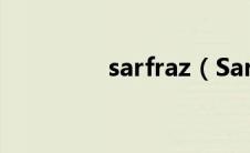 sarfraz（Sara Ziff简介）