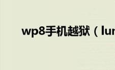 wp8手机越狱（lumia800越狱教程）