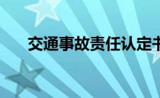 交通事故责任认定书模板（交通事故）