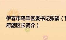 伊春市乌翠区委书记张巍（宫勋-黑龙江省伊春市乌翠区政府副区长简介）