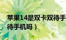 苹果14是双卡双待手机吗（苹果13是双卡双待手机吗）