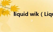 liquid wik（Liquid Lunch简介）