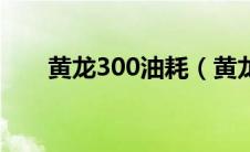 黄龙300油耗（黄龙600多少匹马力）