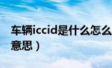 车辆iccid是什么怎么查询（车辆iccid是什么意思）