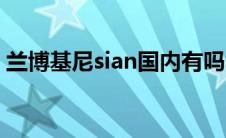 兰博基尼sian国内有吗（兰博基尼sian价格）