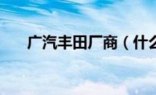 广汽丰田厂商（什么是广汽丰田厂商）