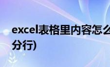 excel表格里内容怎么分行(excel如何把内容分行)